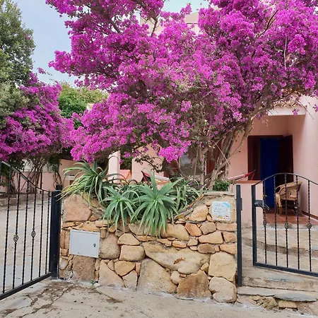 Σπίτι διακοπών Casa Vacanze San Teodoro San Teodoro (Sardinia)